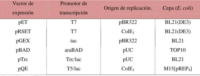 Sistema Procari Tico Escherichia Coli Sistemas De Expresi N De