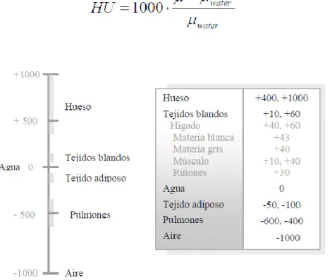 El Coeficiente De Atenuaci N Lineal Evoluci N De La Tomograf A