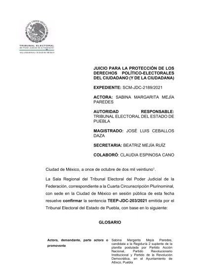 Juicio Para La Protecci N De Los Derechos Pol Tico Electorales Del