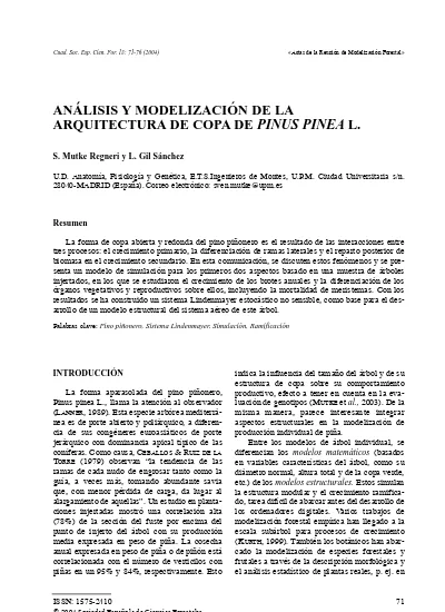 An Lisis Y Modelizaci N De La Arquitectura De Copa De Pinus Pinea L