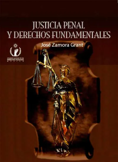 Criminalidad Y Conflicto Social Funciones Sociales Del Derecho En La