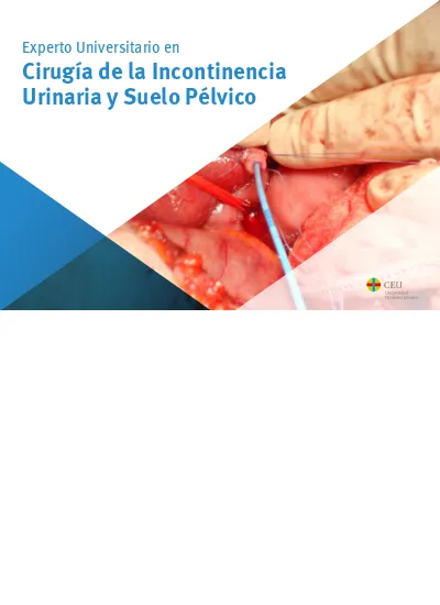 Experto Universitario En Cirug A De La Incontinencia Urinaria Y Suelo