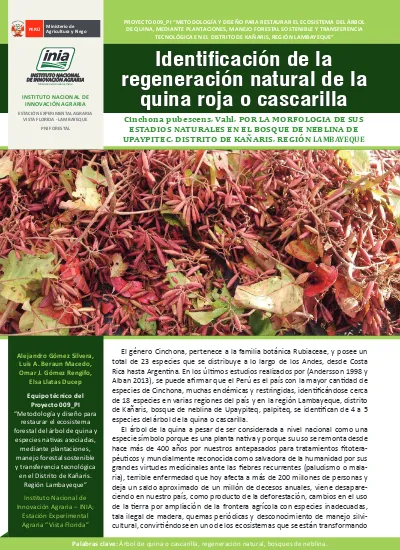 Identificación de la regeneración natural de la quina roja o cascarilla