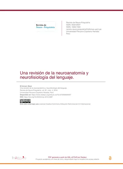 Una Revisi N De La Neuroanatom A Y Neurofisiolog A Del Lenguaje