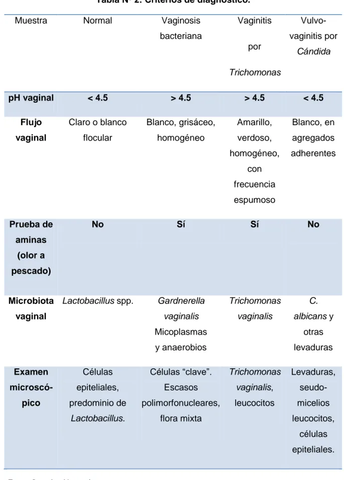 Aspectos Anat Micos Y Fisiol Gicos De La Vagina