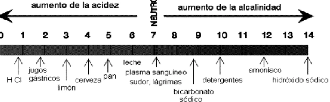 INDICADORES FISICO Y QUIMICOS DEL AGUA INDICADORES FISICO QUIMICOS Y