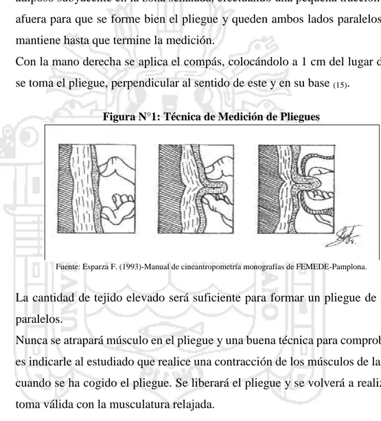 Para determinar la proporcionalidad corporal Método Antropométrico