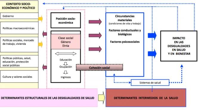 Los Determinantes Sociales Y Las Desigualdades En Salud