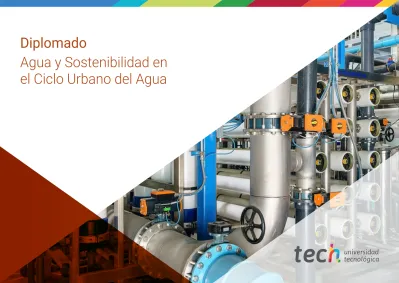 Diplomado Agua Y Sostenibilidad En El Ciclo Urbano Del Agua