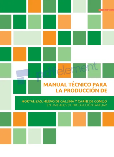 Proceso de formación del huevo Ciclo productivo de las gallinas