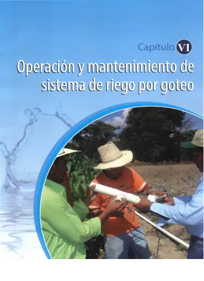 Operaci N Y Mantenimiento De Sistemas De Riego Por Goteo Obturaciones