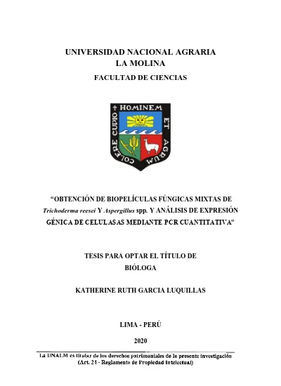 Obtenci N De Biopel Culas F Ngicas Mixtas De Trichoderma Reesei Y