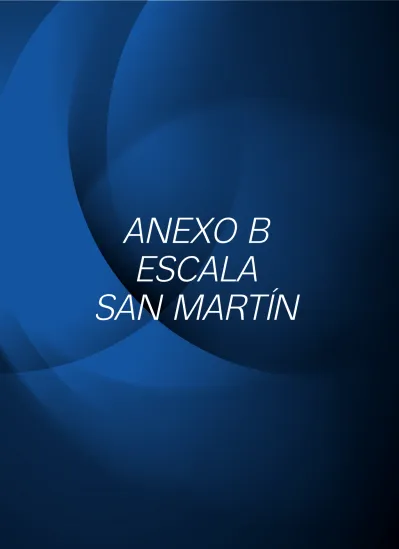 ANEXO B ESCALA SAN MARTÍN