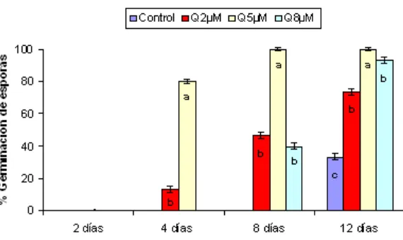 Germinación de esporas y crecimiento del tubo germinativo en