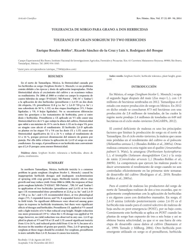 TOLERANCIA DE SORGO PARA GRANO A DOS HERBICIDAS TOLERANCE OF GRAIN