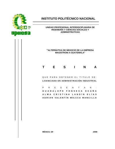 Matriz de Evaluación de Factores Internos MEFI