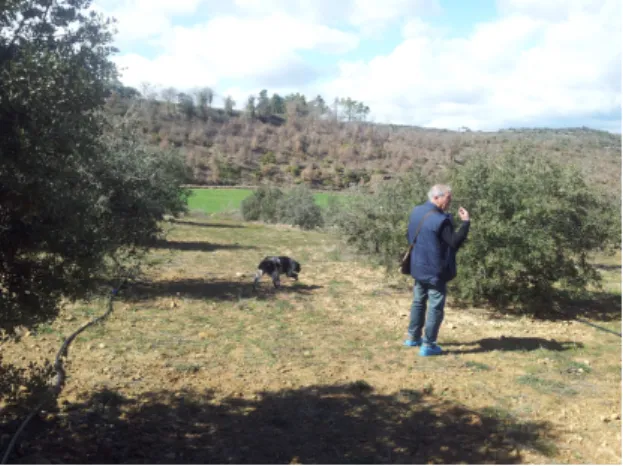 ESTUDIO EDÁFICO ÍINDICE Proyecto para la forestación de 11 54 Ha