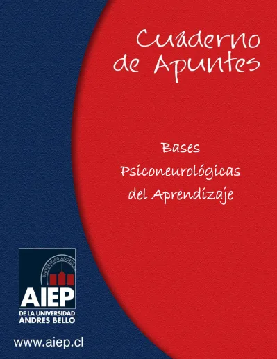 Bases Psiconeurol Gicas Del Aprendizaje