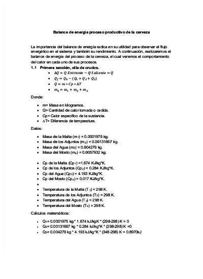 Balance De Energ A Proceso Productivo De La Cerveza