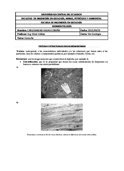 Textura Y Estructura De Rocas Sedimentarias Docx