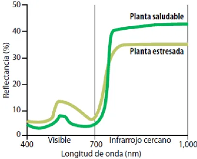 Índices de vegetación Análisis espacio temporal del vigor y área