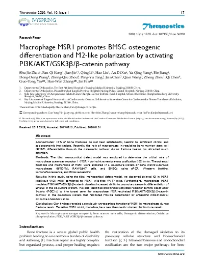 Macrophage Msr Promotes Bmsc Osteogenic Differentiation And M Like