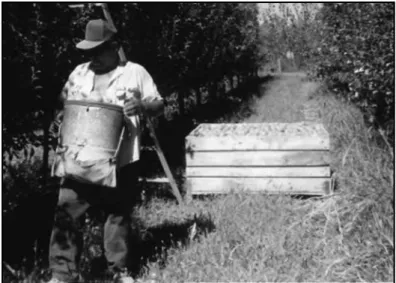 Fig. 4. Cosechador de peras. 
