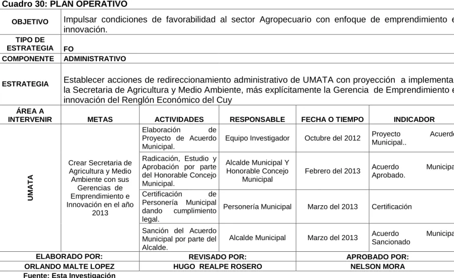 Cuadro 30: PLAN OPERATIVO  