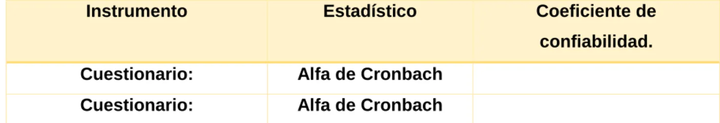 TABLA 5  Confiabilidad del instrumento 