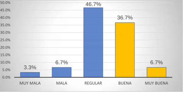 Figura 4: “Dimensión Organización” 