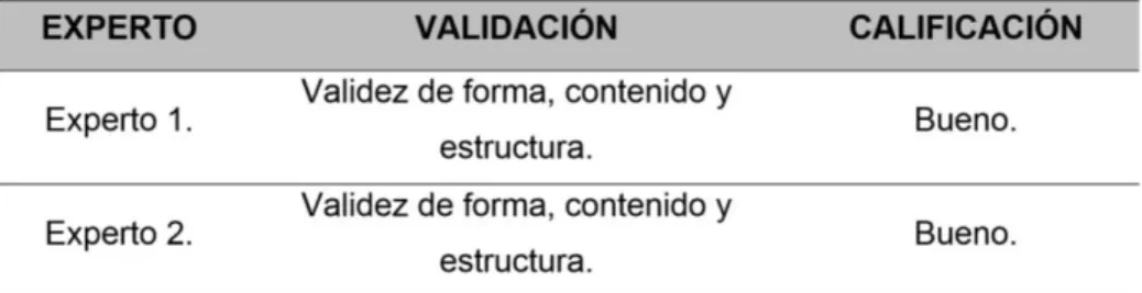 Tabla 2 Validación del instrumento 