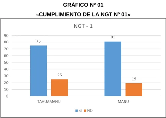 GRÁFICO Nº 01 