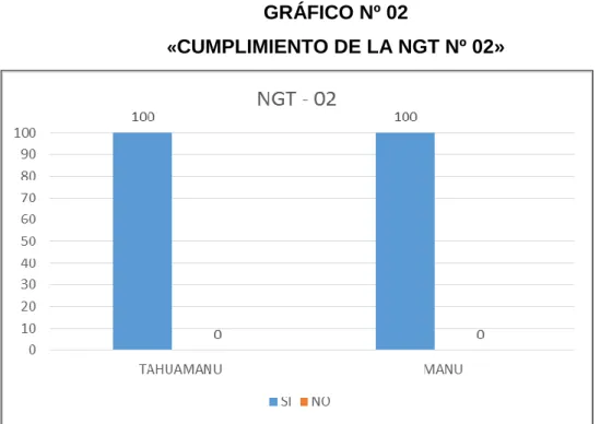 GRÁFICO Nº 02 