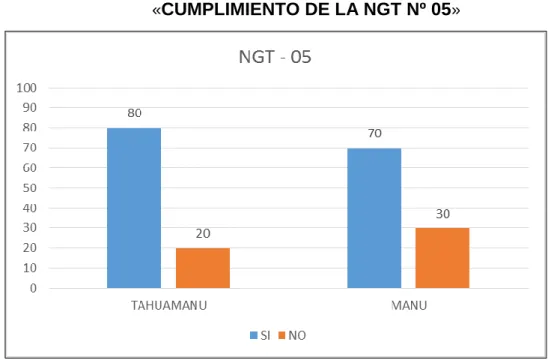 GRÁFICO Nº 05 