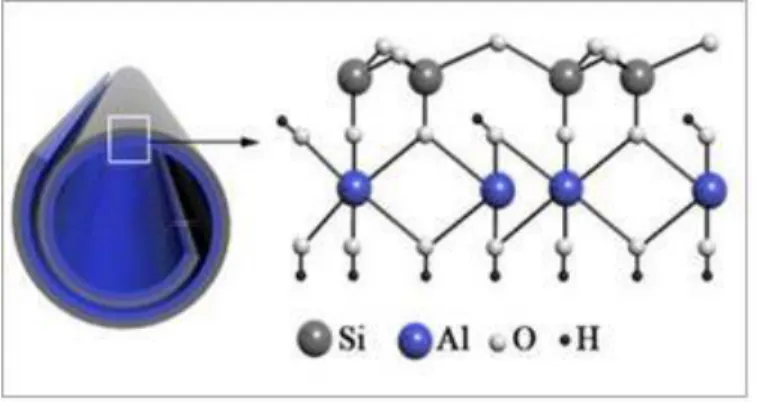 Figura 5.1. Estructura de nanotubos de halloysite.