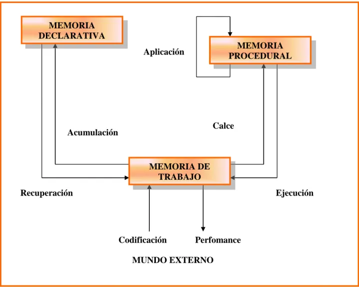 Fig. 2.2  - Sistema de procesamiento ACT 
