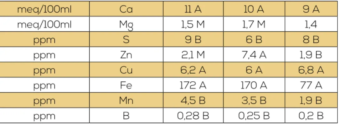 Tabla 6. Análisis de suelos del sector “San Cayetano Irregular”