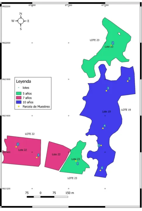 Figura 3.1. Mapa general de la plantación con lotes y ubicación de parcelas