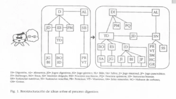 Fig. 1 Reestructuración de ideas sobre el proceso digestivo 