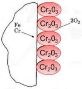 Fig. 3. Pasivación del acero inoxidable [5] 