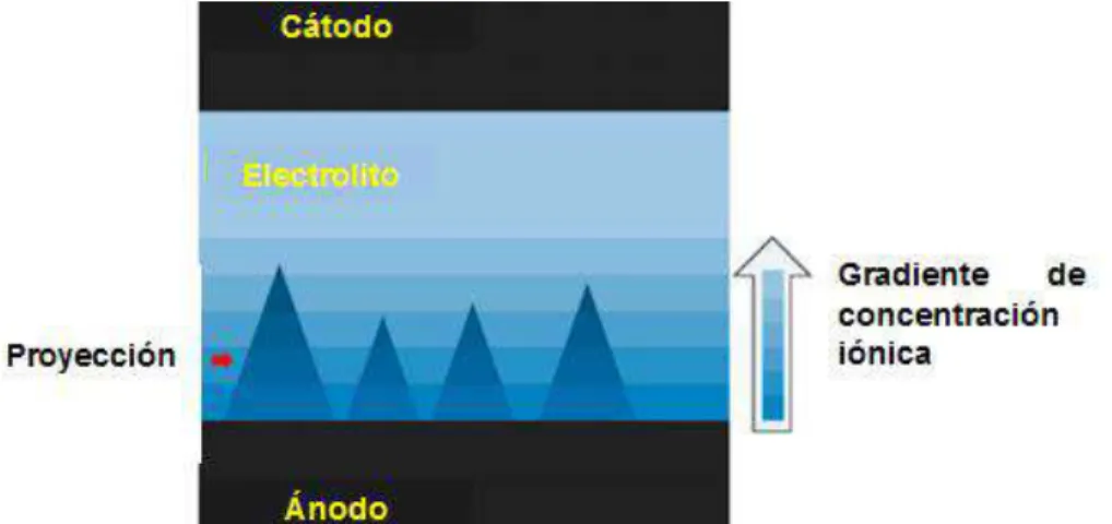 Fig. 8. Esquema de la capa de difusión en la superficie del ánodo [14] 