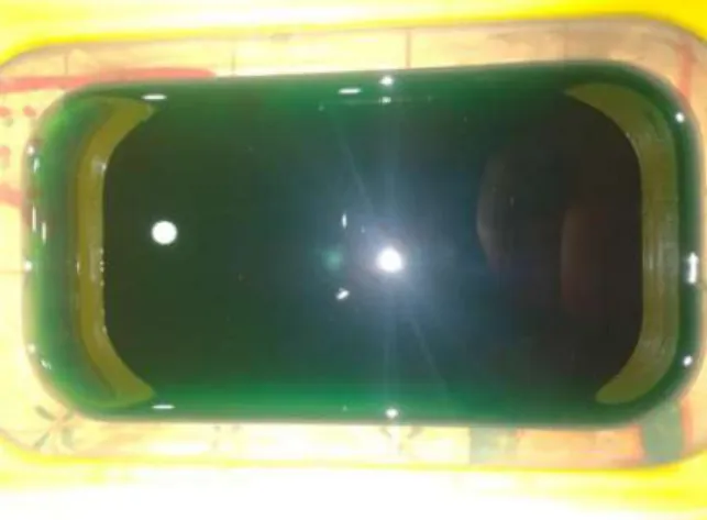 Fig. 37. Electrolito verde-azulado 