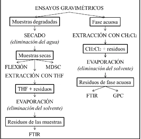 FIGURA 4.3. DISEÑO EXPERIMENTAL 