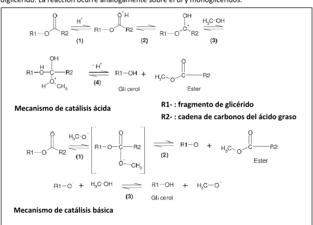 Figura 3-1: comparación de mecanismos de la reacción de transesterificación. Fuente: [1] 