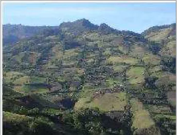Figura 1. Panorámica de la vereda La Palma. 
