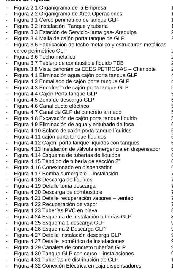 TABLA DE CONTENIDO  Índice de Figuras 