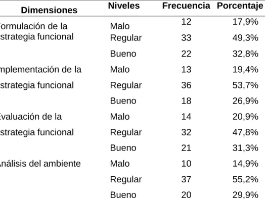 Figura 13. Niveles de las dimensiones de gestión estratégica funcional 
