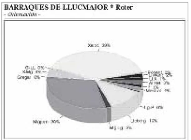 Gráfico de orientación Barraques de “Roter”