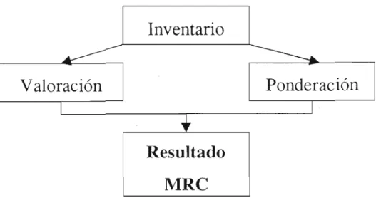 Fig. 1.1. Metodología para la realización del Mapa de Riesgo Combinado (MRC). 