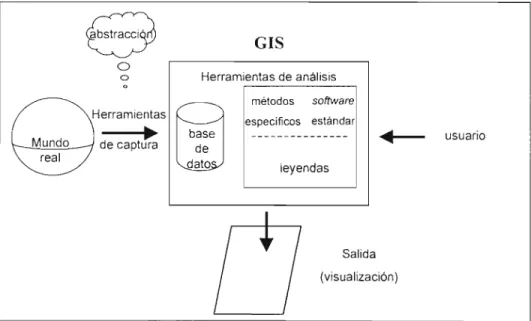 Fig. 2.1. Componentes de un G.LS. (Modificado de Struckmeier y Margat, 1995; ESRI, 1995)